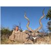 Image 4 : AFRICAN MAXIMUM: 8-Day Kudu and Sable Safari for Two Hunters and 2 NHs in SA - Includes Trophy Fees