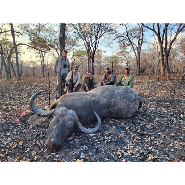 MWATISI SAFARIS: 10-Day Cape Buffalo Hunt for One Hunter in  Tanzania - Includes Trophy Fee