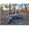 Image 1 : MWATISI SAFARIS: 10-Day Cape Buffalo Hunt for One Hunter in  Tanzania - Includes Trophy Fee