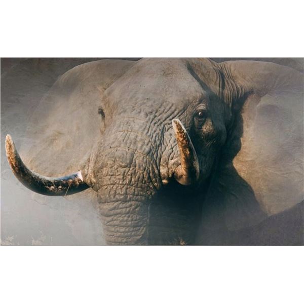 DAWIE FOURIE ARTS: "YOU or ME" - Original Oil on Canvas