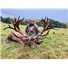 Image 1 : FOUR SEASONS: 5-Day Big Game Hunt for Two Hunters in New Zealand - Includes Trophy Fees & Fishing