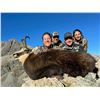 Image 2 : FOUR SEASONS: 5-Day Big Game Hunt for Two Hunters in New Zealand - Includes Trophy Fees & Fishing