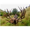 Image 3 : FOUR SEASONS: 5-Day Big Game Hunt for Two Hunters in New Zealand - Includes Trophy Fees & Fishing