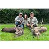Image 1 : CELTIC FIELD: 3-Day Sika Stag Hunt for One Hunter and One NH in Ireland - Includes Trophy Fee