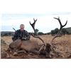 Image 1 : FERNANDO SAIZ: 4-Day/4-Night Iberian Red Deer Hunt for Two Hunters in Spain - Includes Trophy Fees