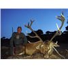 Image 3 : FERNANDO SAIZ: 4-Day/4-Night Iberian Red Deer Hunt for Two Hunters in Spain - Includes Trophy Fees