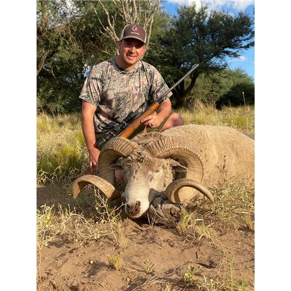 CATENA SAFARIS: 5-Day/5-Night Big Game Hunt for Four Hunters in Argentina - Includes Trophy Fees