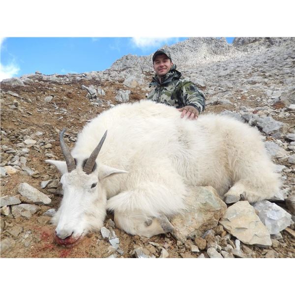 (NEW!) TERMINUS MTN: 9-Day Mtn Goat, Black Bear & Wolf for One Hunter in B.C. - Includes Trophy Fees