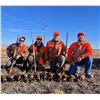 Image 1 : DAKOTA PRAIRIE: 1-Day Pheasant Hunt for Four Hunters in South Dakota