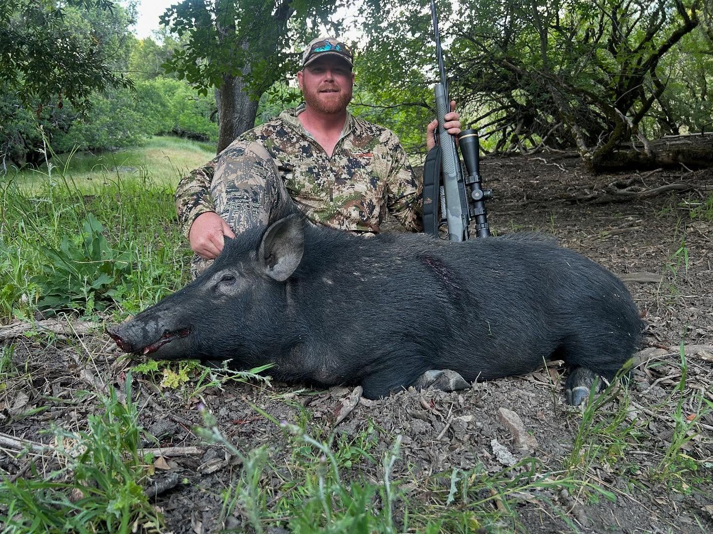 Pig Hunt Rigs LOCKWOOD: 2-Day Wild Pig Hunt for One Hunter in California - Includes ...
