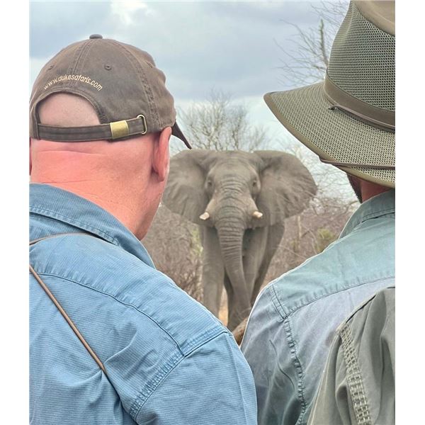 DUKE SAFARIS: 5-Day Elephant Safari Experience for Two in South Africa