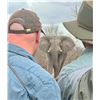 Image 1 : DUKE SAFARIS: 5-Day Elephant Safari Experience for Two in South Africa