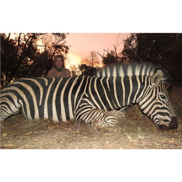 VAN WIJK: 10-Day Plains Game Safari For One Hunter and One NH in S. Africa - Includes Trophy Fees