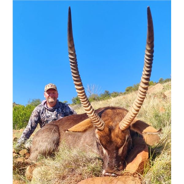 WORMALD: 10-Day Plains Game Safari for One Hunter and One NH in S. Africa - Includes Trophy Fees