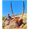 Image 1 : WORMALD: 10-Day Plains Game Safari for One Hunter and One NH in S. Africa - Includes Trophy Fees