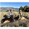 Image 1 : FOUR SEASONS: 4-Day Big Game Safari for Two Hunters in New Zealand - Includes Trophy Fees & Credit