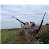 Image 1 : MAJAN SAFARI: 3-Day/3-Night High-Volume Dove Hunt for Three Hunters in Argentina