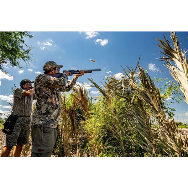 ARGENTINAS BEST: 4-Day/4-Night High-Volume Dove Hunt for Two Hunters in Argentina
