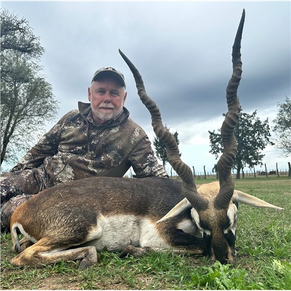 ARGENTINA-SPAIN: 3-Day Blackbuck Hunt for Three Hunters in Argentina - Includes Trophy Fees