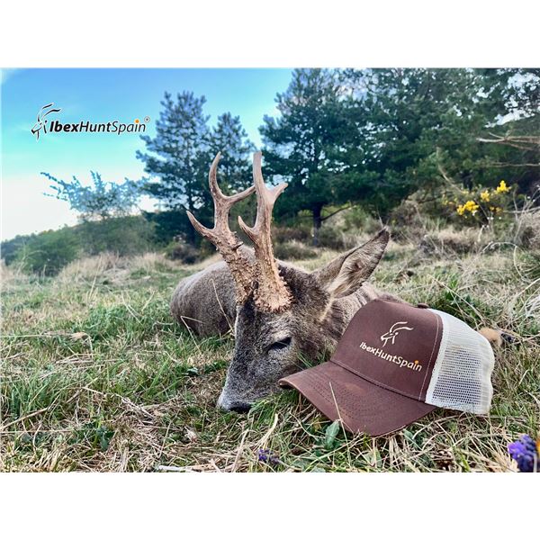 IBEXHUNTSPAIN: 4-Day Roe Deer Hunt for One Hunter in Spain - Includes Trophy Fee