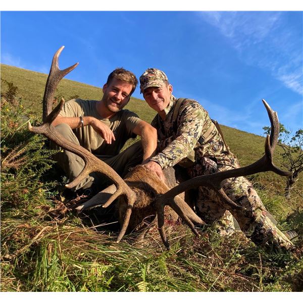 IBERIAN HUNTERS: 4-Day Red Stag Hunt for One Hunter and One NH in Spain - Includes Trophy Fee