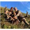 Image 1 : IBERIAN HUNTERS: 4-Day Red Stag Hunt for One Hunter and One NH in Spain - Includes Trophy Fee