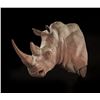 Image 1 : KANATI STUDIO: Rhino Replica Shoulder Mount