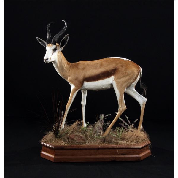WILDLIFE GALLERY: $5,000 Taxidermy Credit on Five or More African Safari Trophies
