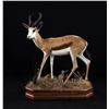 Image 1 : WILDLIFE GALLERY: $5,000 Taxidermy Credit on Five or More African Safari Trophies