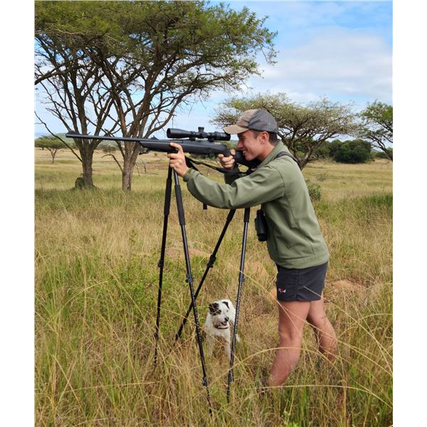 HUNTERS NETWORKS: GunStix Shooting Sticks