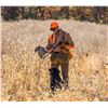 Image 1 : HERITAGE 1865: 1-Day/2-Night Premium Upland Bird Hunt for Two Hunters in Iowa