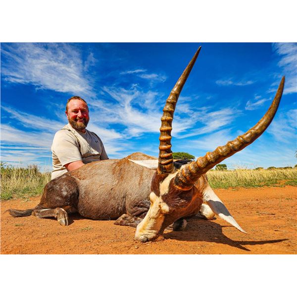 LIAM URRY: 8-Day Plains Game Safari for Four Hunters in S Africa - Includes Trophy Credit