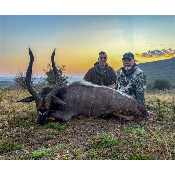 CRUSADER: 6-Day Plains Game Safari for One Hunter in S Africa - Includes Trophy Fees