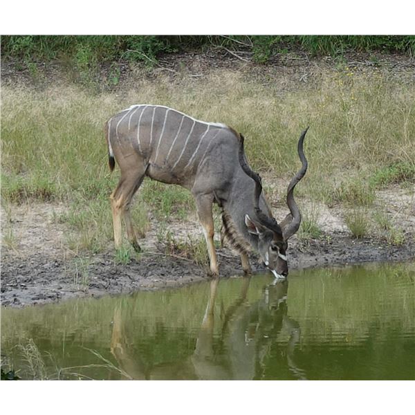 RUSS FIELD: CREDIT Towards a Custom Photographic Safari for Four Couples in S. Africa