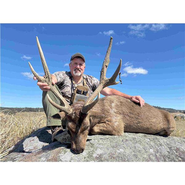 KINGHAM: 3-Day Moluccan Rusa Hunt for One Hunter in Australia - Includes Trophy Fee