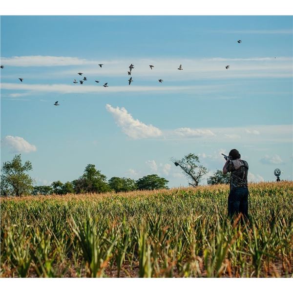 ARGENTINA BIG HUNTING: 3-Day Dove Hunt for Three Hunters in Argentina
