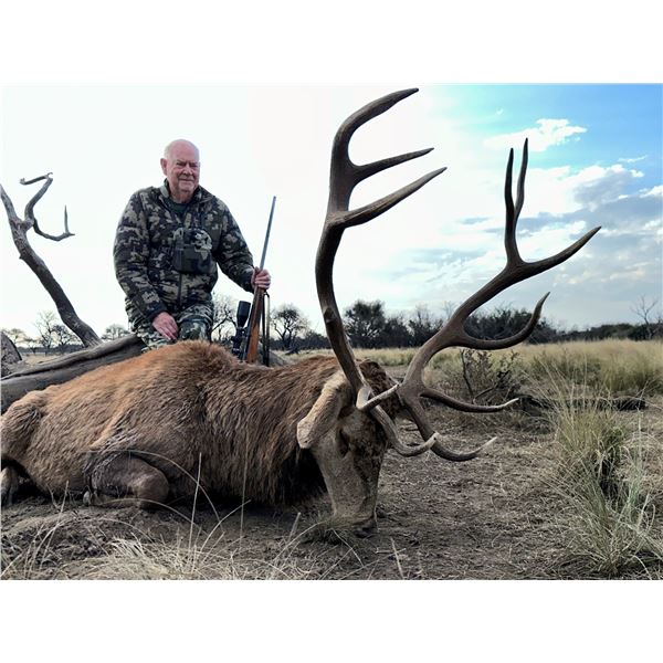 ARGENTINA-SPAIN: 4-Day Red Stag Hunt for Three Hunters in Argentina - Includes Trophy Fees