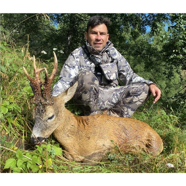 TROPHY HUNTING; 4-Day Roe Hunt for 1 Hunter and 1 NH in NE Spain - Includes Trophy Fee