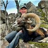 Image 1 : GREAT EUROPEAN; 4-Day Mouflon Hunt for One Hunter in Spain - Includes Trophy Fee
