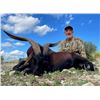 Image 1 : ATP: 4-Day Goat Hunt for One Hunter and 1 NH in Spain - Includes Trophy Fee & Fishing
