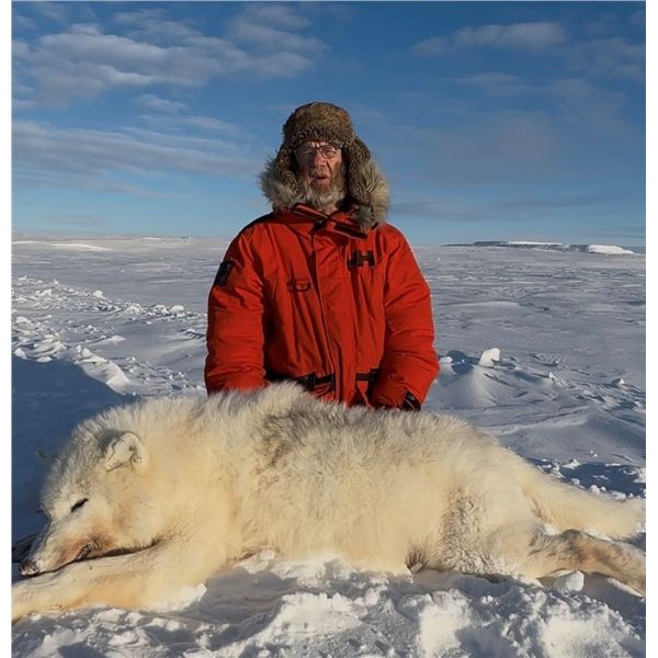 CANADIAN WILDLIFE: 6-Day Wolf Hunt for One Hunter in Canada - Includes Trophy Fee