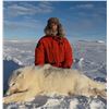 Image 1 : CANADIAN WILDLIFE: 6-Day Wolf Hunt for One Hunter in Canada - Includes Trophy Fee