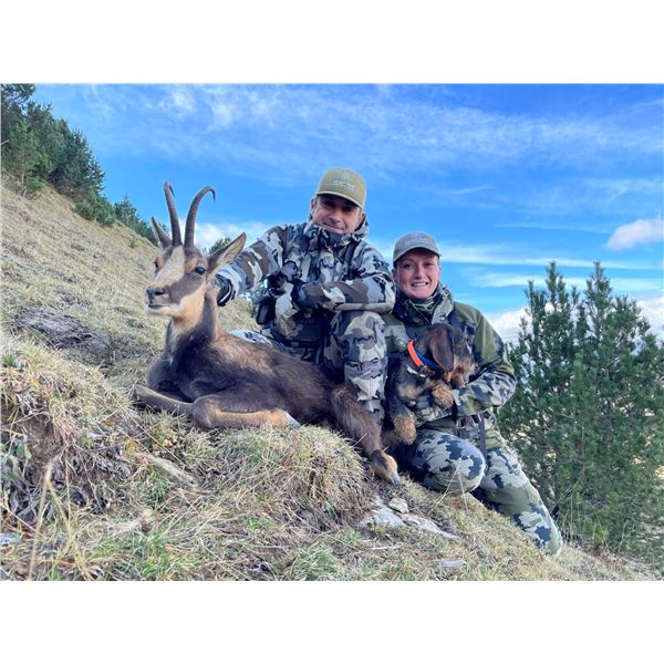 HUNTERS EXPERIENCE: 2-Day Pyrenean Chamois Hunt for One Hunter in Spain - Includes Trophy FEE