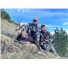 Image 1 : HUNTERS EXPERIENCE: 2-Day Pyrenean Chamois Hunt for One Hunter in Spain - Includes Trophy FEE