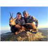 Image 2 : HUNTERS EXPERIENCE: 2-Day Pyrenean Chamois Hunt for One Hunter in Spain - Includes Trophy FEE