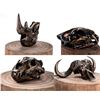 Image 1 : SKULLIES: Big 5 Bronze Skullies Set