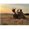 Image 2 : (NEW!) KEEPER RANCH: 3-Day Fallow Deer Hunt for 1 Hunter and 1 NH in Texas - Incudes Trophy Fee