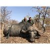 Image 2 : BONUS RAFFLE - Combo Whitetail Hunt in Upstate NY & Cape Buffalo Safari in South Africa