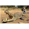 Image 1 : ULTIMATE RAFFLE-3: 8-Day Croc & Buff Cow Hunt in South Africa