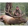 Image 1 : SPECIAL RAFFLE-3: 10-Day Roosevelt Elk Hunt in Washington State and Oregon